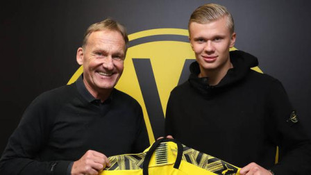 面对风格强 面对风格强